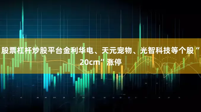 股票杠杆炒股平台金利华电、天元宠物、光智科技等个股“20cm”涨停